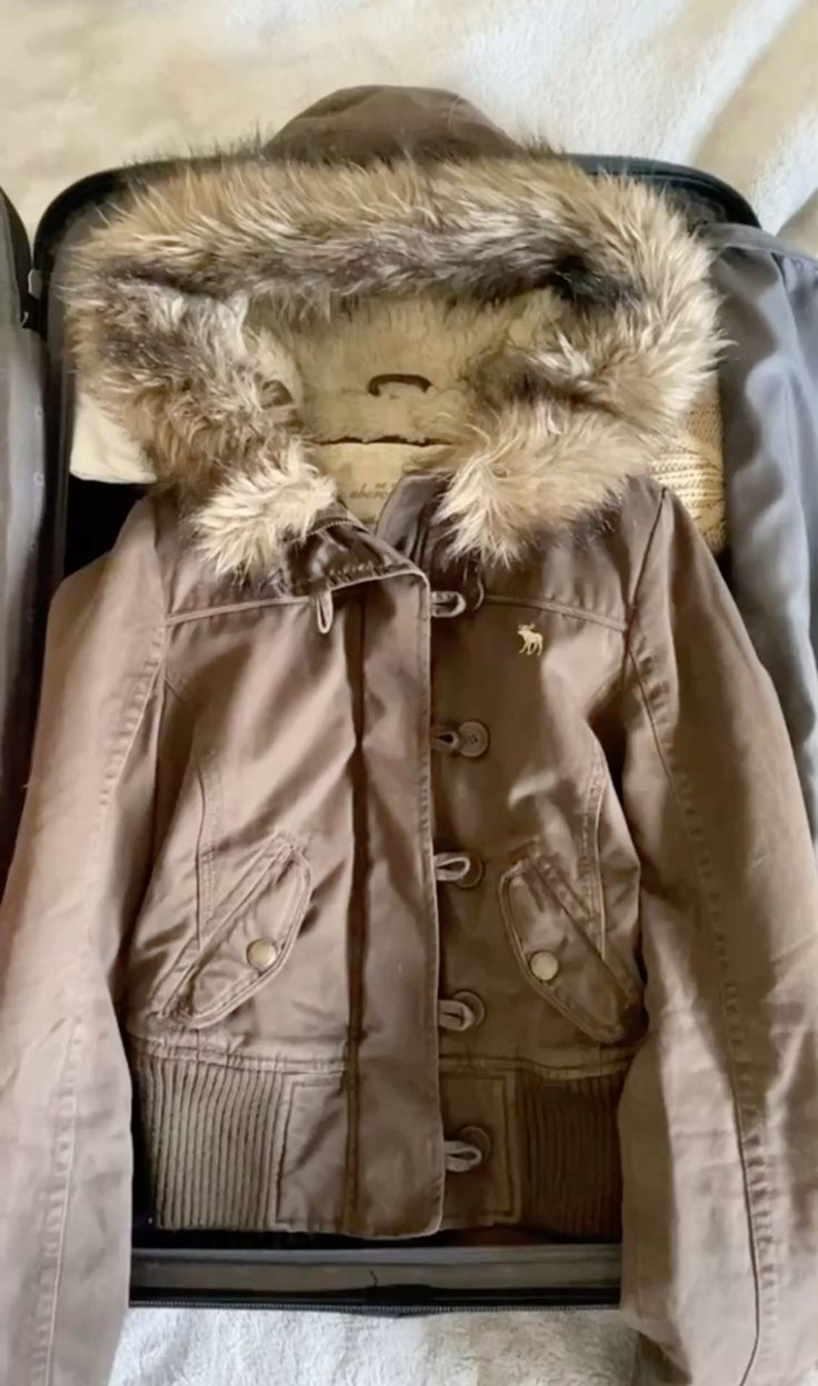 Taupe Fur Hood Jacket